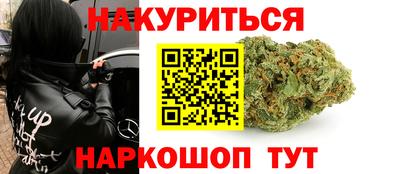 молекула духа Будённовск
