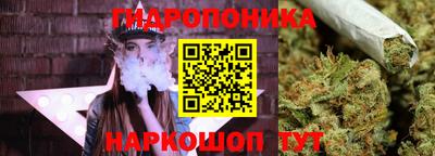 молекула духа Будённовск