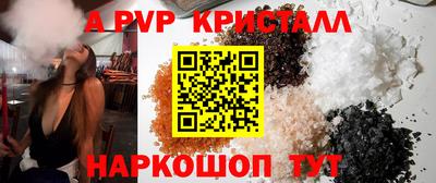 молекула духа Будённовск
