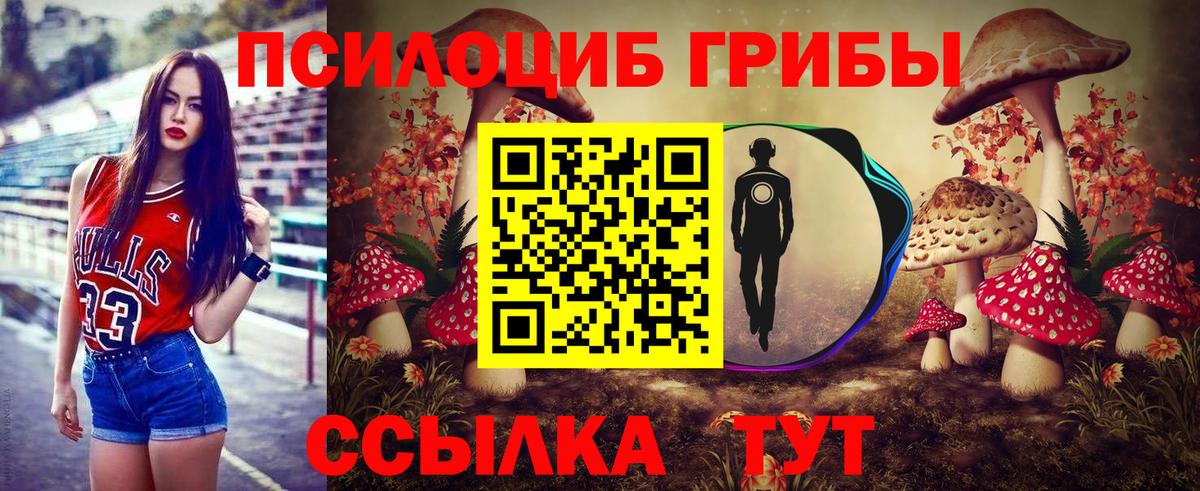 что такое   Вход с VPN  Сатка  Псилоцибиновые грибы прущие грибы 